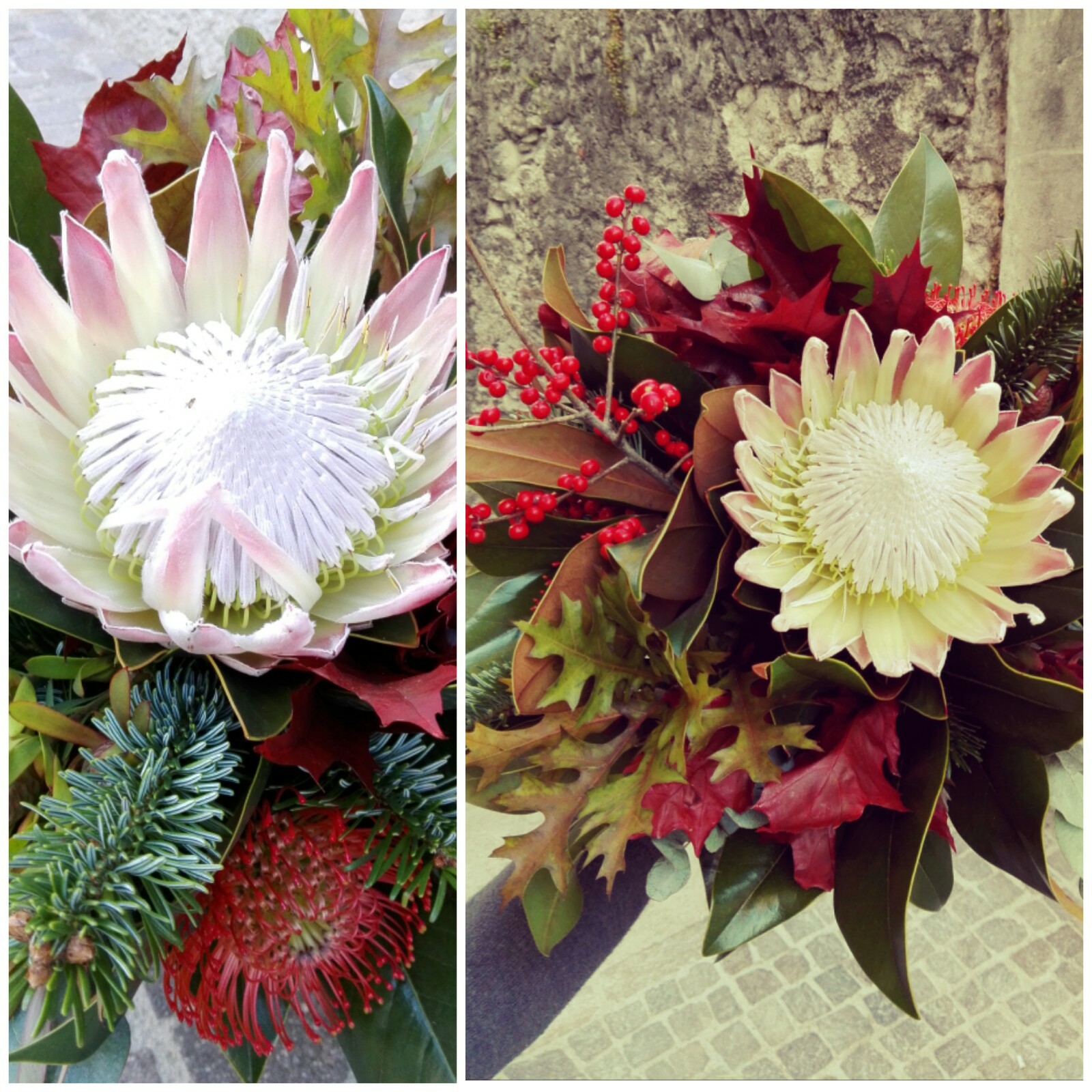 Mazzo Autunnale Protea e Ilex Fioreria Bruseghini Besenello Trento